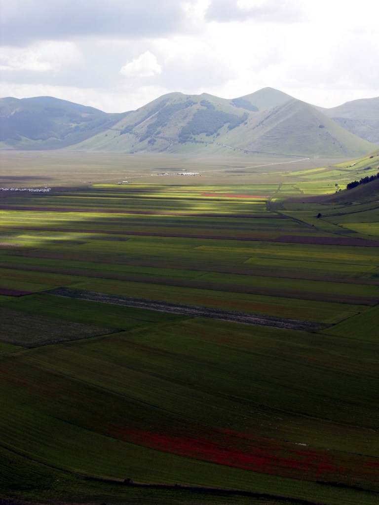 Castelluccio di Norcia - La piana